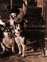 Leonhard Seppala with Ruby Derby leaders Jens and Scotty